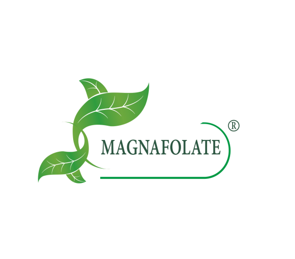Magnafolate® কি? ফোলেট বনাম ফলিক অ্যাসিড, পার্থক্য কি?