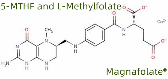 5-MTHF এবং L-Methylfolate