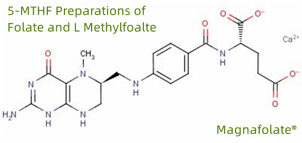 ফোলেট এবং এল মিথাইলফোল্টের 5-MTHF প্রস্তুতি