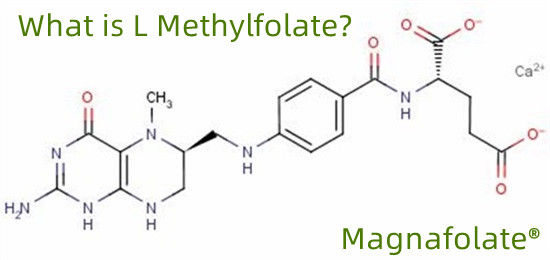 এল-মিথাইলফোলেট কি?
