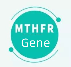 আপনার যদি MTHFR জিন থাকে তবে এর অর্থ কী?