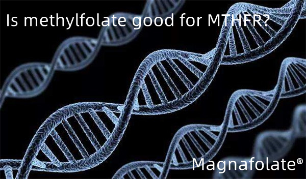 মিথাইলফলেট কি MTHFR এর জন্য ভাল?