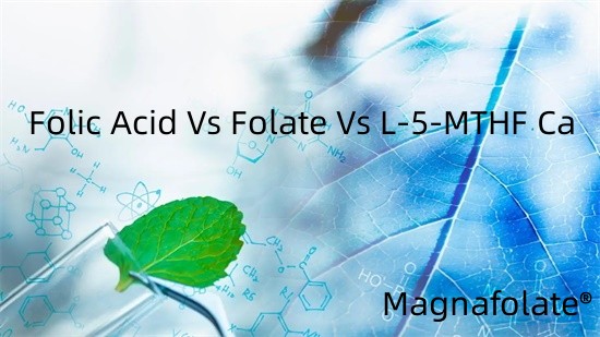 ফলিক অ্যাসিড বনাম ফোলেট বনাম L-5-MTHF Ca