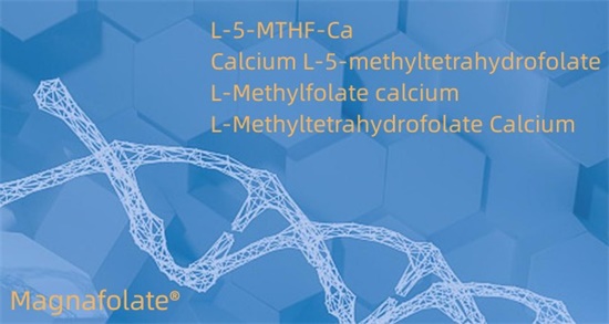 ক্যালসিয়াম L-5-methyltetrahydrofolate Cas151533-22-1