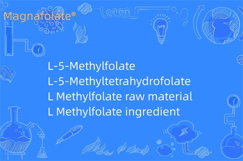 L Methylfolate কি করে?
