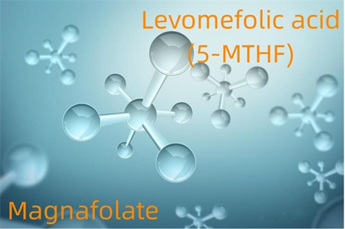 লেভোমেফোলিক অ্যাসিড (5-MTHF)-ম্যাগনাফোলেট