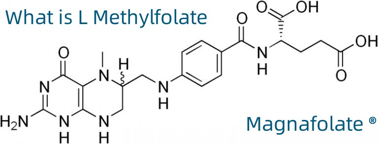 L-5-Methyltetrahydrofolate ক্যালসিয়াম CAS No.:151533-22-1