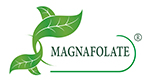 Magnafolate® VS ফলিক অ্যাসিড