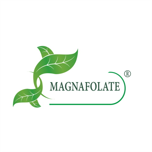 Magnafolate এর নিবন্ধন
